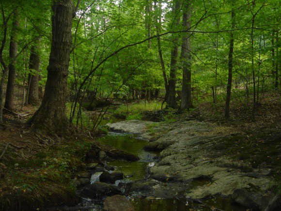 2 - The area has significant bedrock